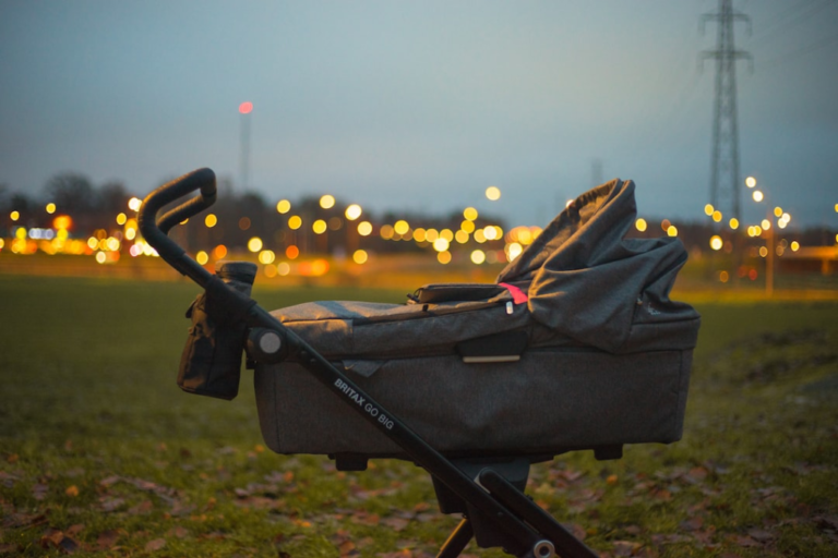 The Best Stroller Wagon Popular Among Parents: Top 7
