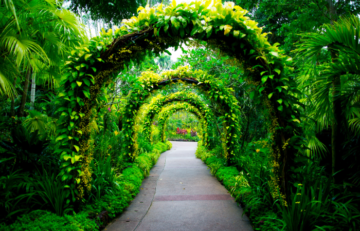 botanical garden archway 
