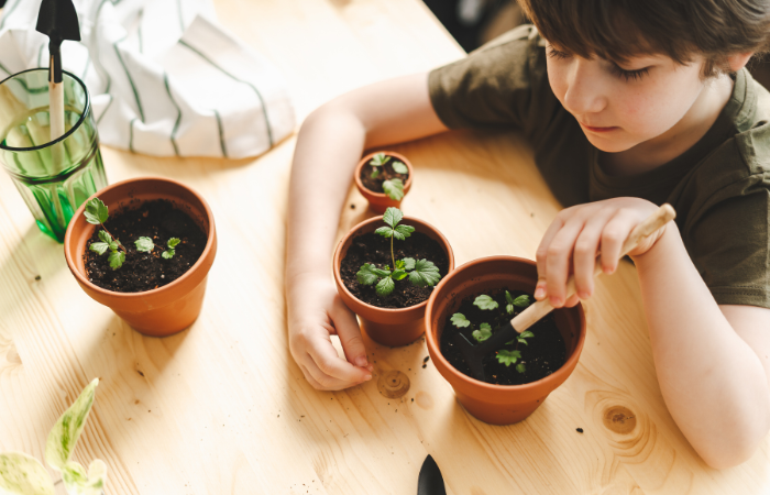 boy planting seeds in brown pots