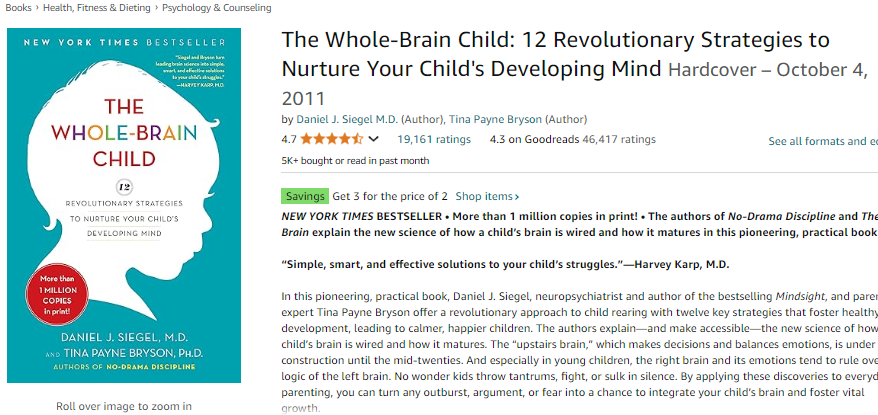 screen shot of the Best Positive Discipline Books for New Parents The Whole Brain Child