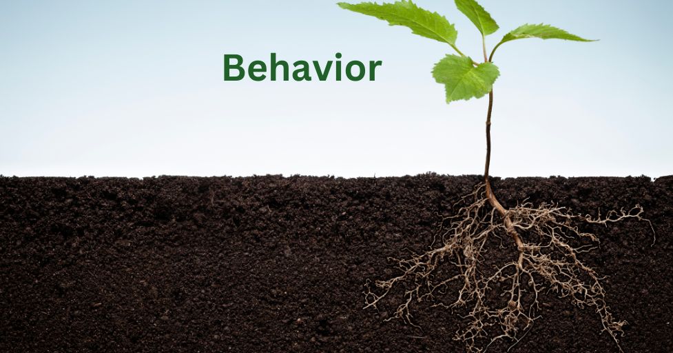 failing to address root cause of behavior