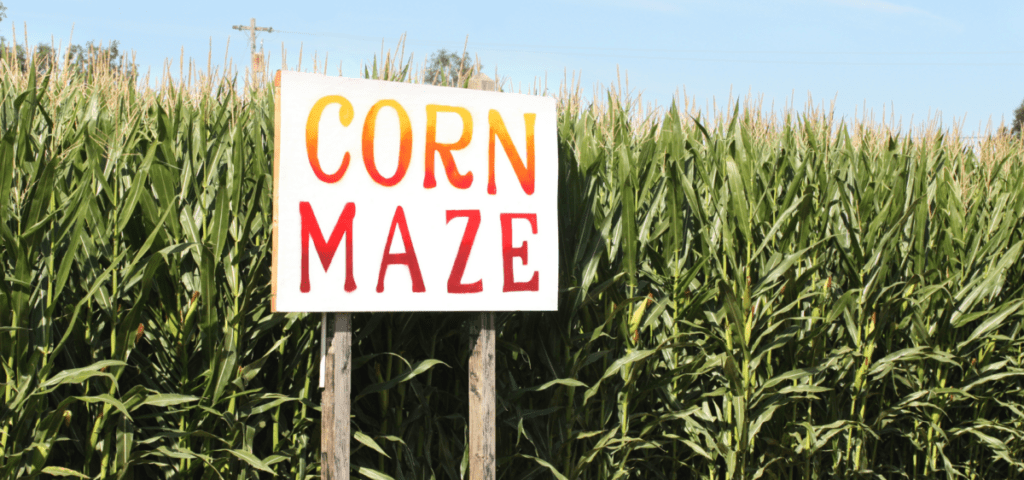 corn maze sign in front of a corn maze