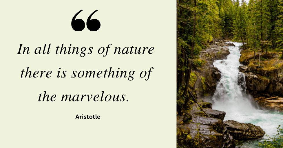 In all things of nature, there is something of the marvelous. Aristotle positive mindfulness quotes for kids